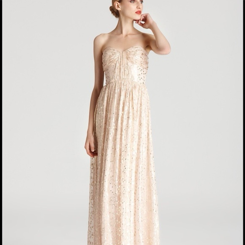 Erin Fetherston Coralie Maxi Dress - Size 6